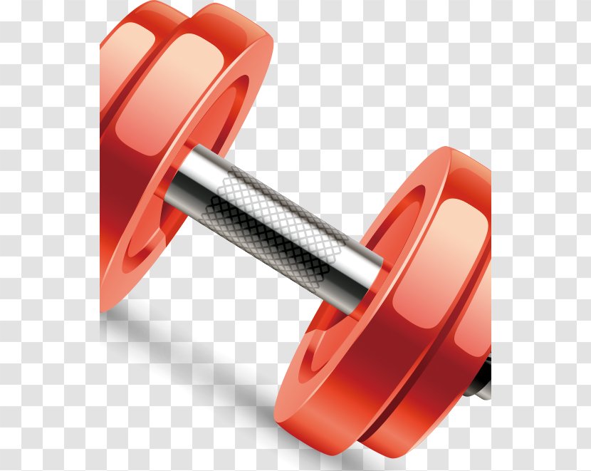 Barbell Cartoon - Product - Sports Transparent PNG