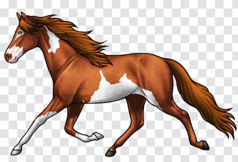 Foal Mare Stallion Mane Mustang - Halter Transparent PNG
