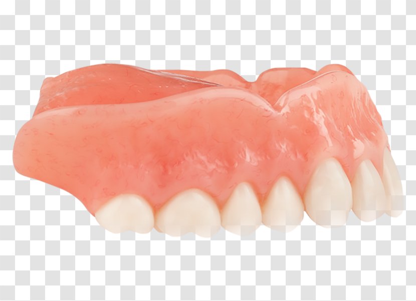 Tooth Dentures - Lip - Jaw Transparent PNG