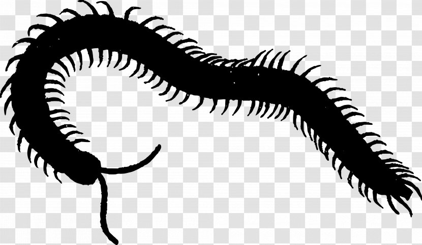 Eye Clip Art Line - Fictional Character - Centipede Transparent PNG