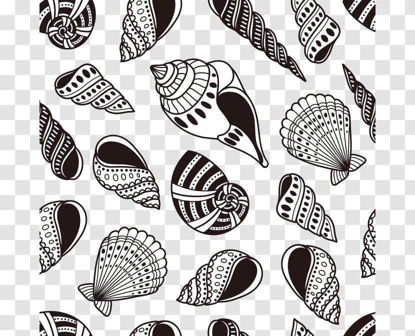 Seashell - Marine - Conch Transparent PNG