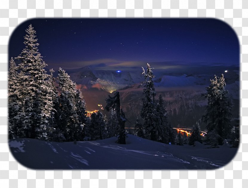 Light Desktop Wallpaper Tree HVGA Snow Transparent PNG