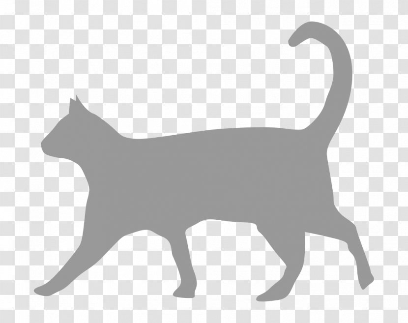 Cat T-shirt Art Lilo Pelekai Pusheen - Korat - Dogs And Cats Transparent PNG