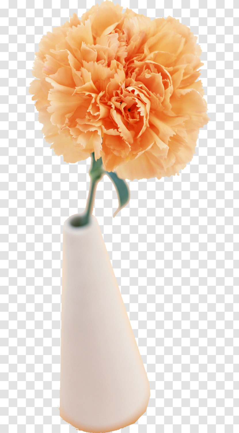 Floral Design Transparent PNG