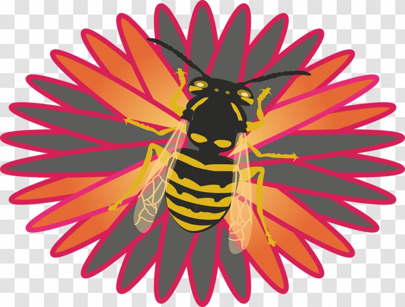 Eagle Coat Of Arms Heraldry Illustration - Flower - Honey Bees Transparent PNG