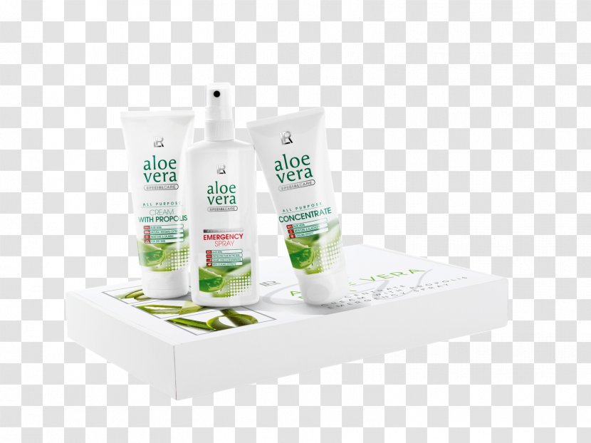 Aloe Vera Skin Care Burn LR Health & Beauty Systems - Sunburn - Disease Transparent PNG