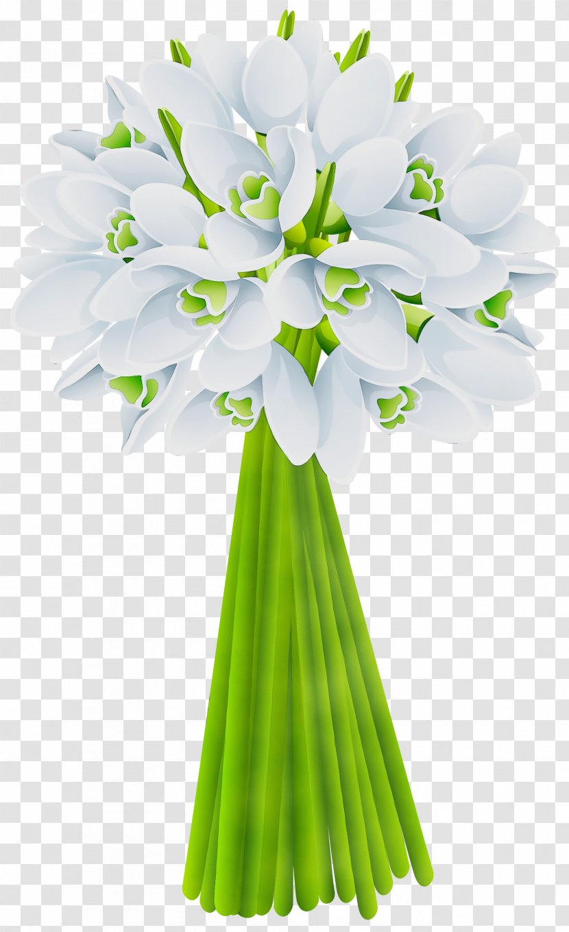 Flower Cut Flowers Bouquet Plant Flowering - Watercolor - Stem Agapanthus Transparent PNG