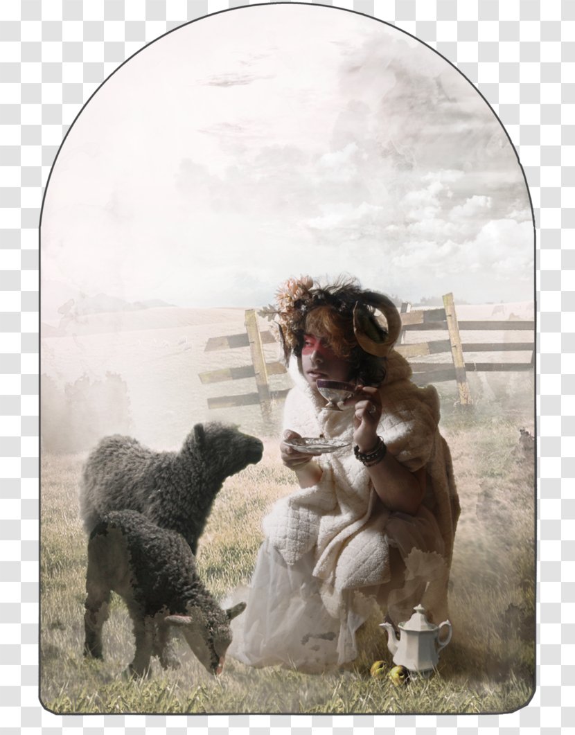 Black Sheep Glass Art - Jiminy Cricket Transparent PNG