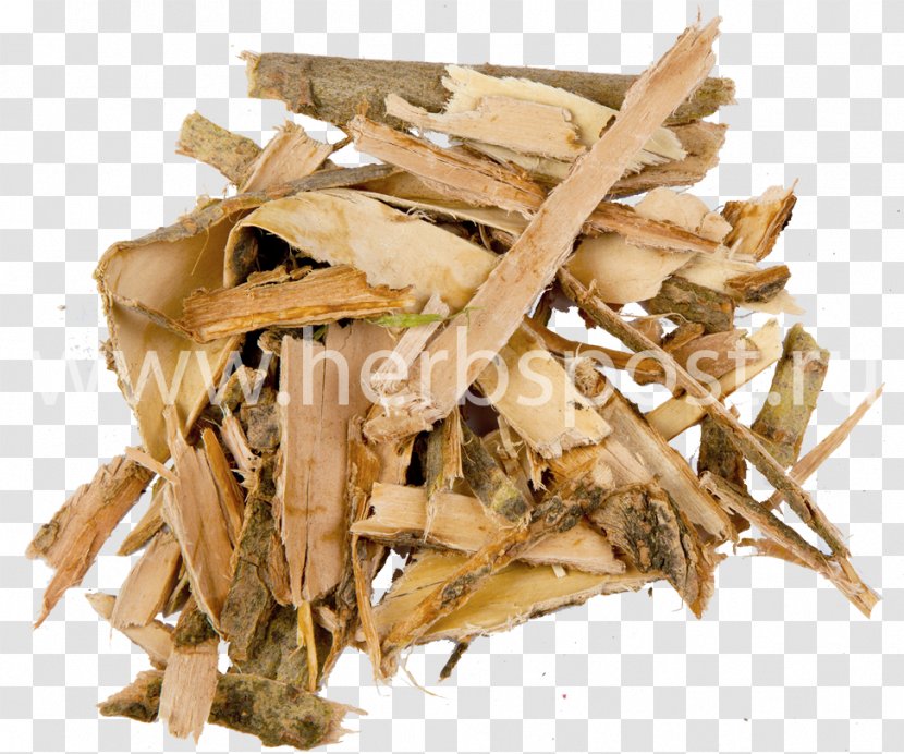 Neuralgia Abdominal Cutaneous Nerve Entrapment Syndrome Medicinal Plants Pain Herbaceous Plant - Bark - Kora Transparent PNG