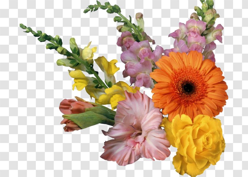 Border Flowers Desktop Wallpaper Clip Art - Chrysanths - Flower Transparent PNG