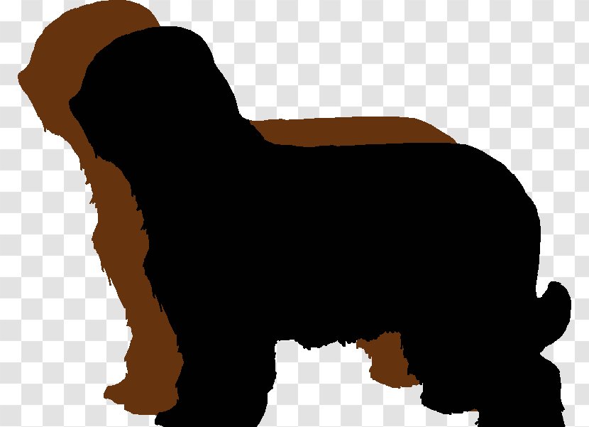 Dog Breed Briard Bearded Collie Bouvier Des Flandres Bernese Mountain - Like Mammal - Puppy Transparent PNG