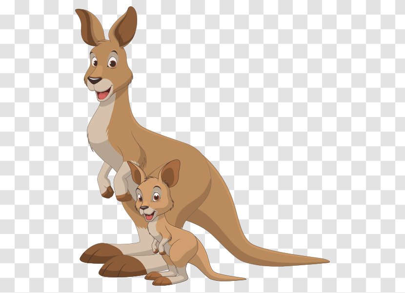 Baby Kangaroo Vector Graphics Clip Art Illustration - Red Fox Transparent PNG