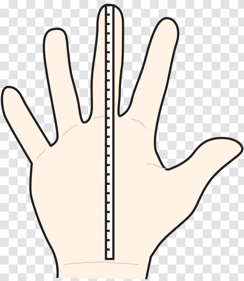 Hand Model Finger Thumb Line Art - Arm - Middle Transparent PNG