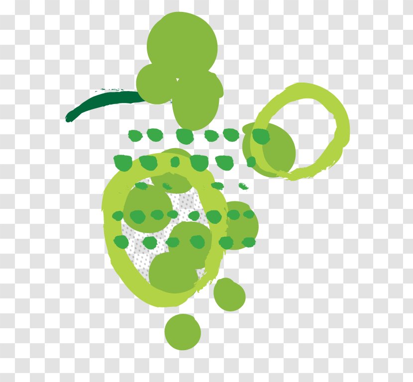 Wine Tamjanika Muscat Grape - Organism Transparent PNG