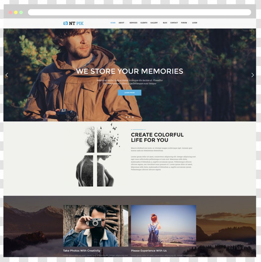 WordPress Website Development Theme Content Management System Joomla - Modern Resume Transparent PNG