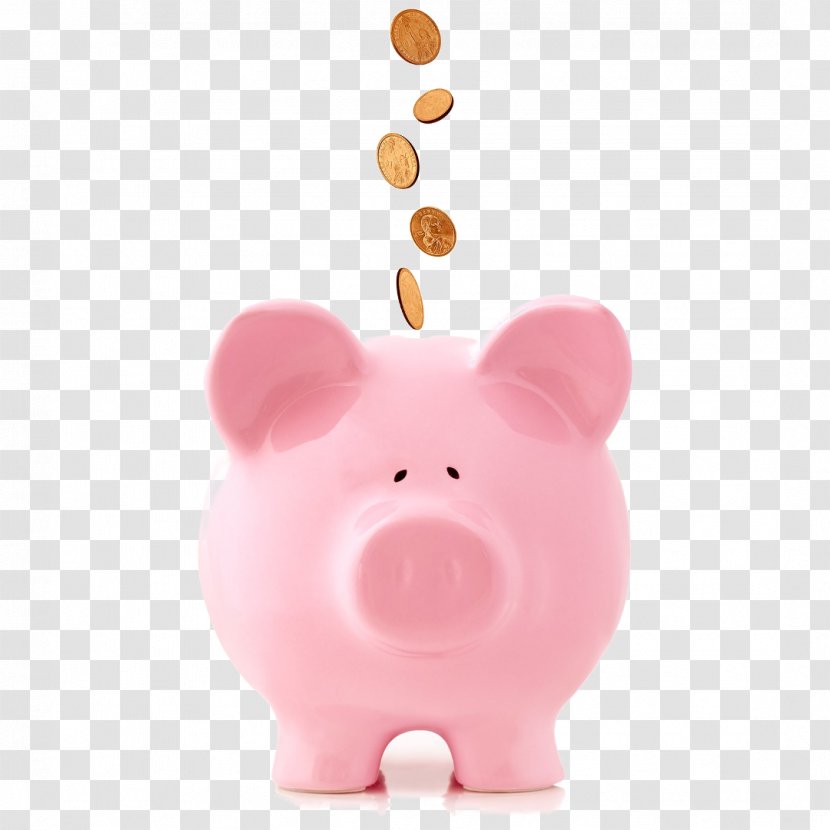 Coin Money Piggy Bank Fee Business - Pink Transparent PNG