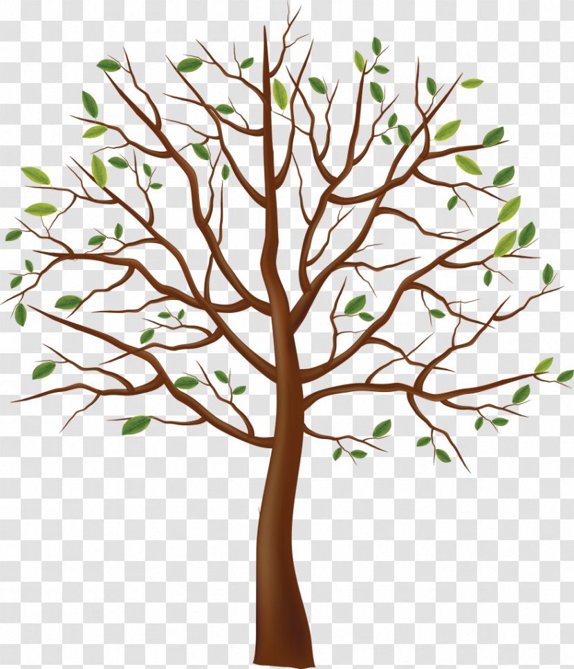 Clip Art Tree Branch Trunk - Leaf Transparent PNG