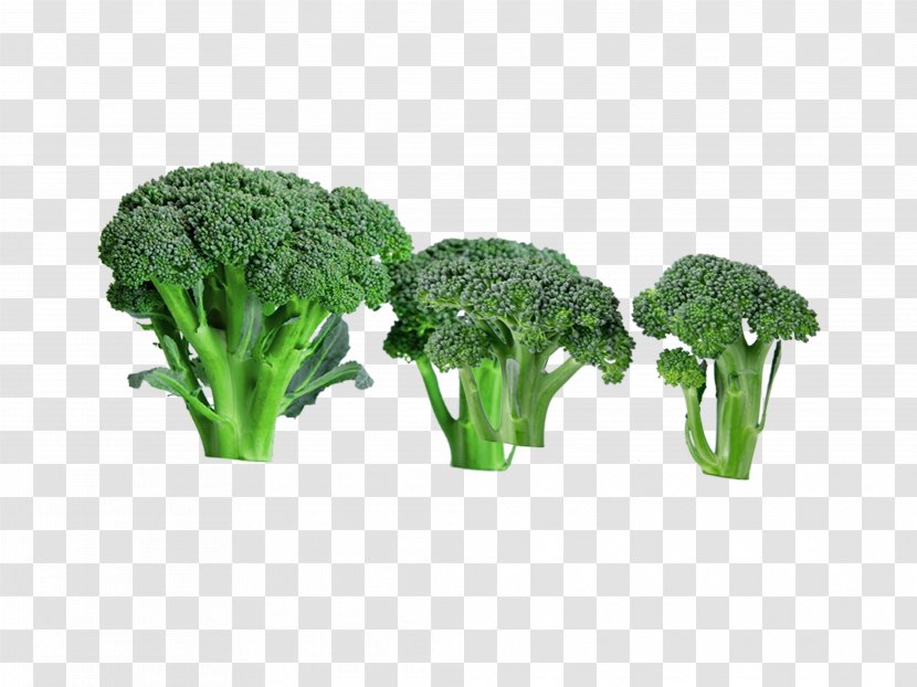 Broccoli Food Vegetable - Tomato - Green Healthy Transparent PNG
