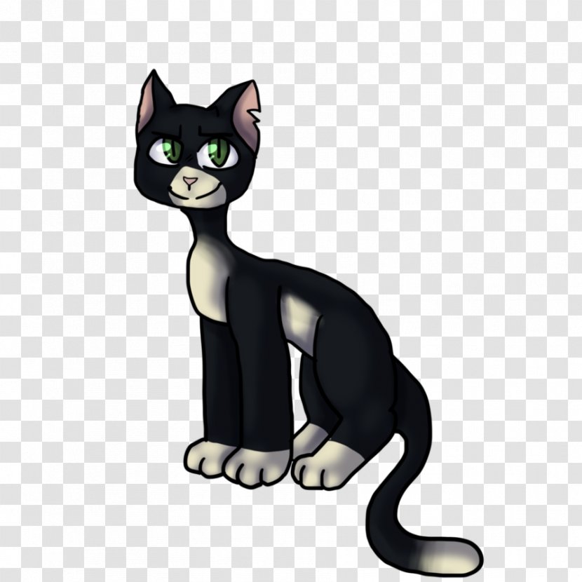 Korat Black Cat Kitten Domestic Short-haired Whiskers - Small To Medium Sized Cats Transparent PNG