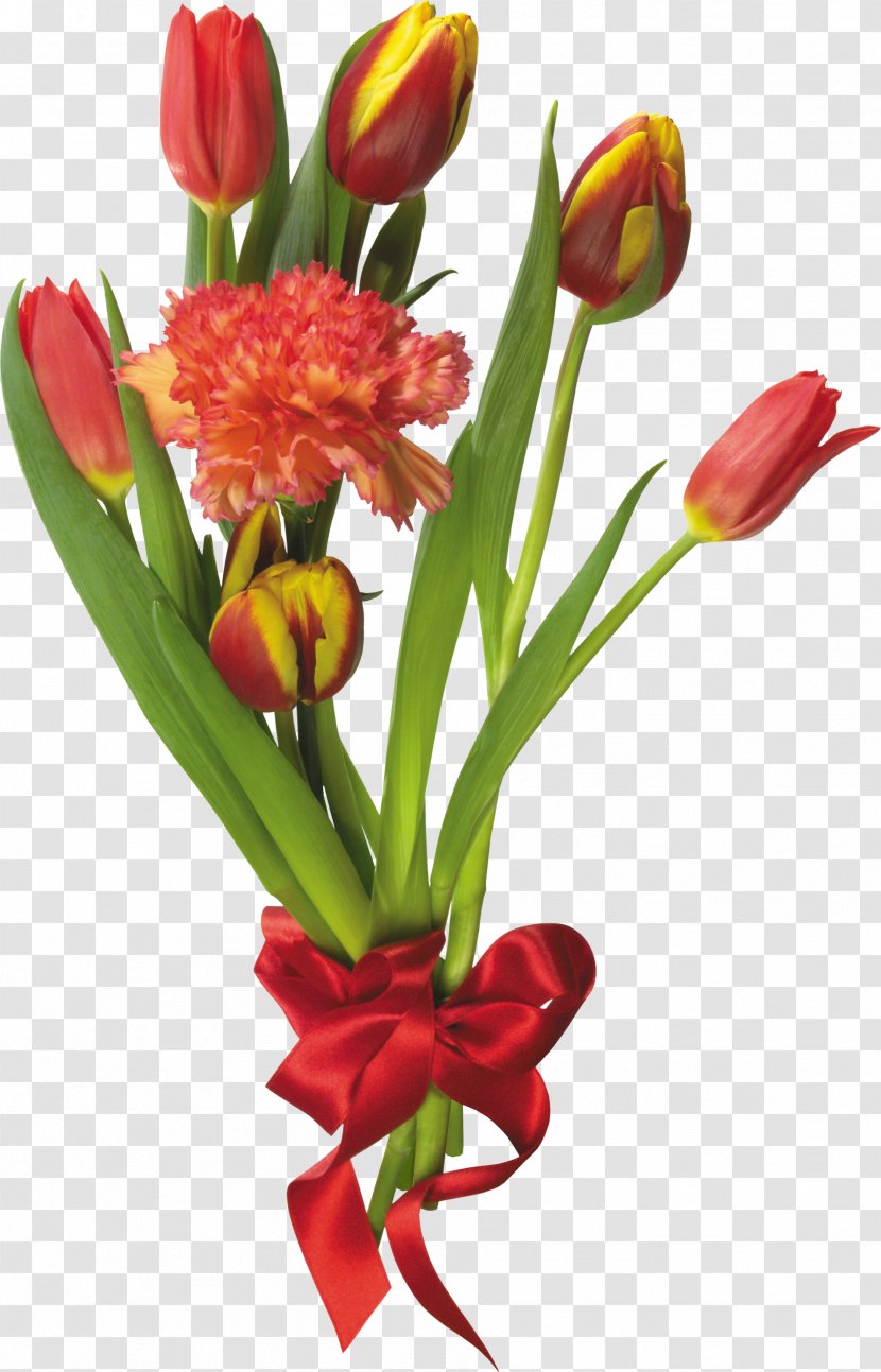 Netherlands Windmill Island Golden Gate Park Windmills Tulip Mania - Seed Plant - Bouquet Flowers Transparent PNG