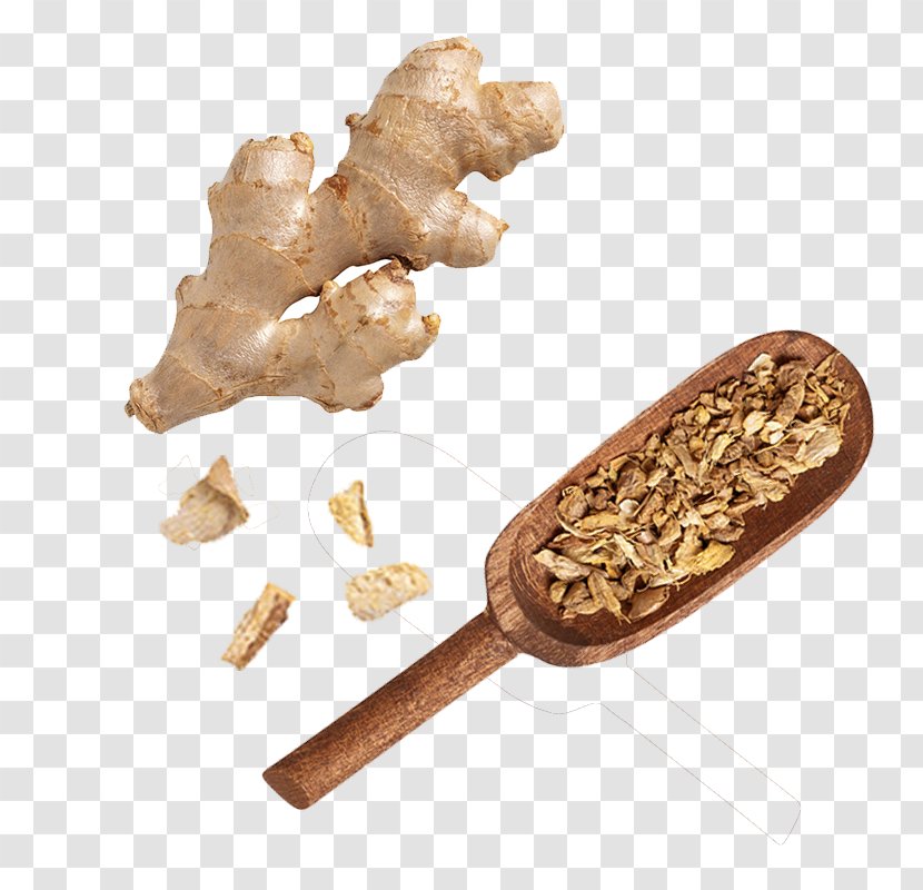 Ginger Indian Cuisine Vegetable Spice - Ingredient - And Poured Material Transparent PNG
