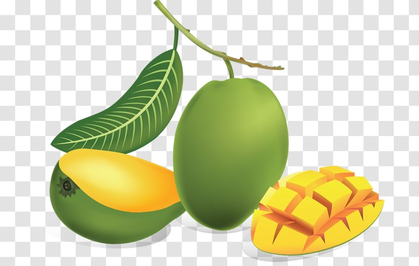 Mango Clip Art - Cucumber Gourd And Melon Family - Forgetmenot Transparent PNG
