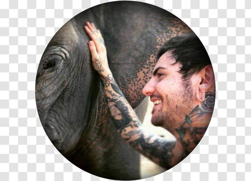 Austin Allen Dead Gods Tattoo Indian Elephant Mouth Mad Scientist - Dave Bautista Tattoos Transparent PNG