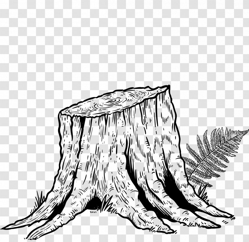 Tree Trunk Drawing - Blackandwhite - Coloring Book Plant Transparent PNG