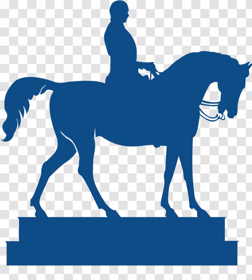 Citizens Advice Wolverhampton Organization Rein Pony - Mustang Transparent PNG