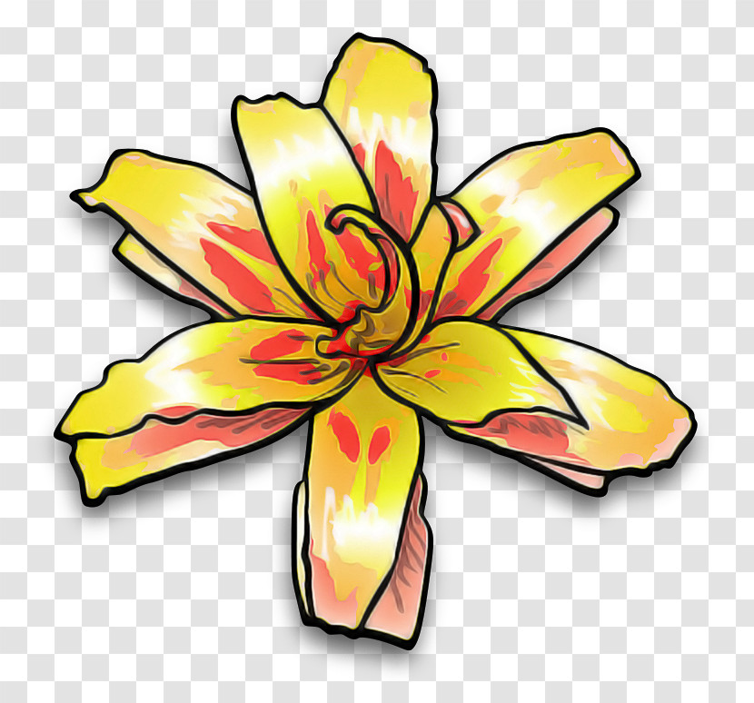 Yellow Flower Petal Plant Symbol Transparent PNG