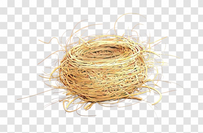 Bird Nest - Cartoon Transparent PNG