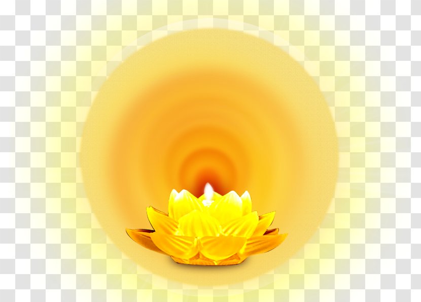 Light Lamp Gold Download - Button - Golden Lotus Lights Transparent PNG