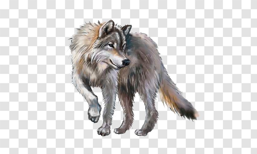 Gray Wolf Royalty-free - Snout - Painting Transparent PNG