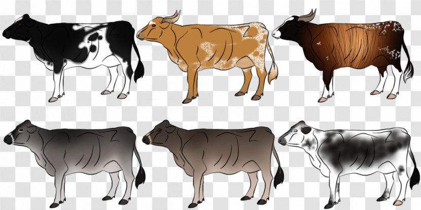 Dairy Cattle Zebu Ox Clip Art Wildlife - Fauna - Swiss Cow Wallpaper Transparent PNG