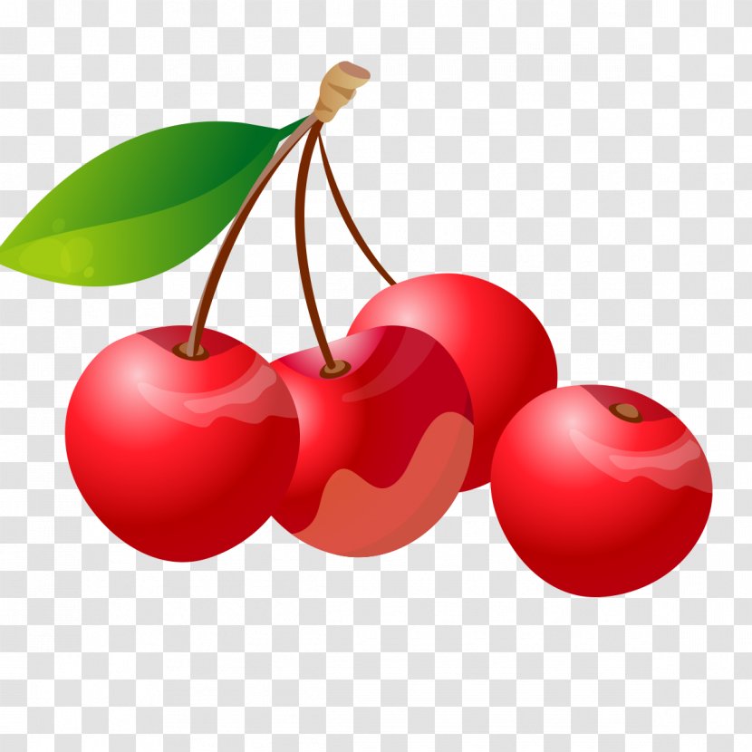 Barbados Cherry Auglis - Heart - Red Transparent PNG