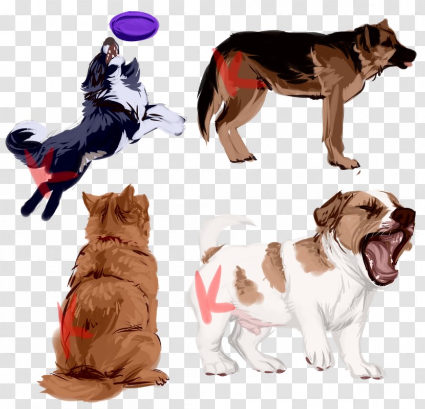 Dog Breed Puppy Companion Clothes - Shoe - Watercolor Transparent PNG