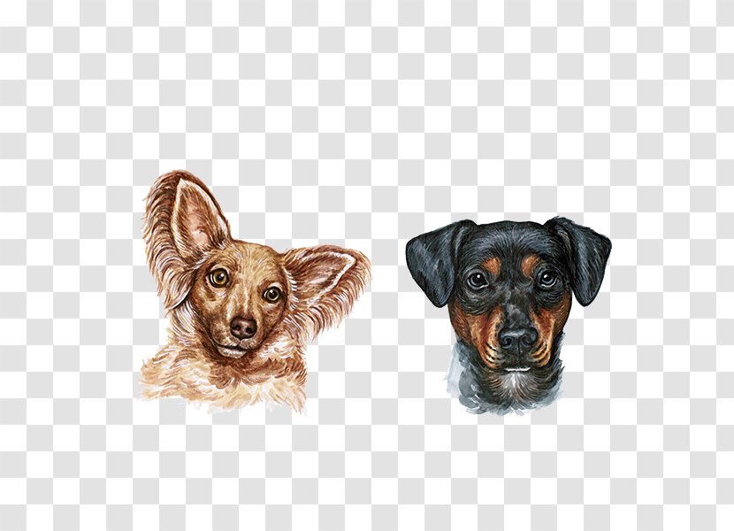Dog Watercolor Painting - Companion - Dogs Transparent PNG