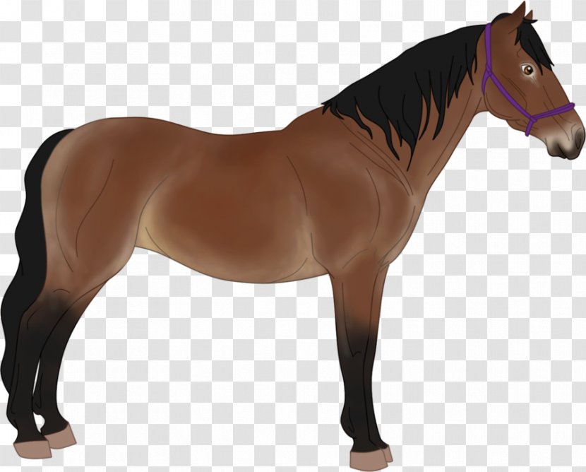 Thoroughbred Mane Mare Stallion Breyer Animal Creations - Pony - Reclaimed Land Transparent PNG