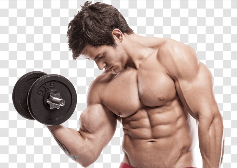 Muscle Hypertrophy Strength Training Bodybuilding Physical - Frame - Dumbbell Transparent PNG