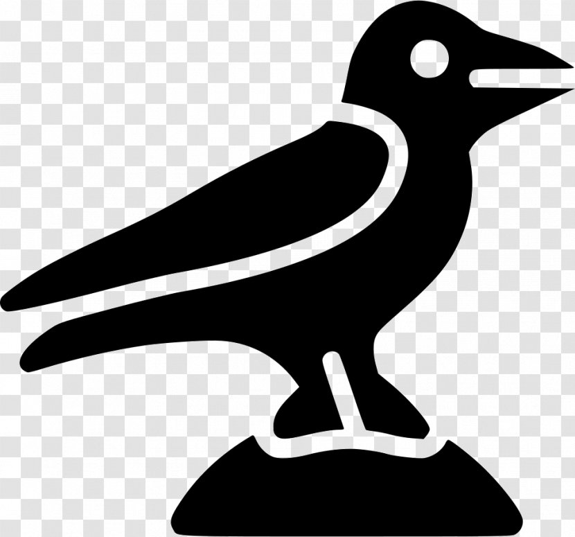 Common Raven Bird Clip Art Transparent PNG