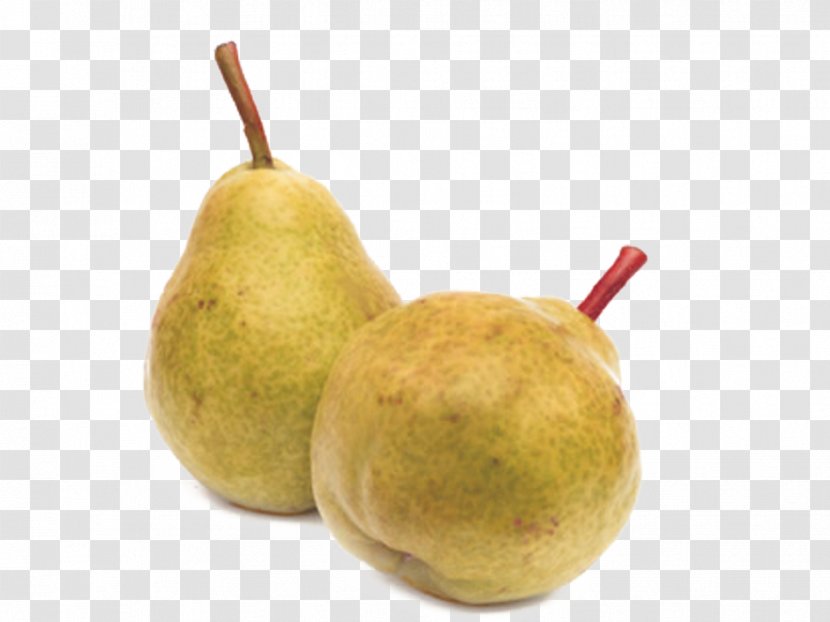 Pyrus Nivalis Asian Pear Fruit Banana Transparent PNG