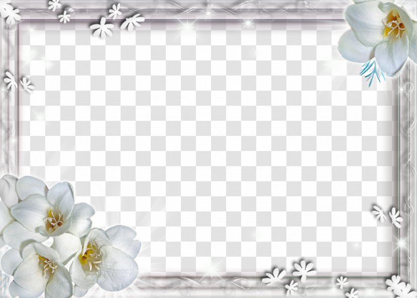 Flower Wallpaper - Information - White Frame File Transparent PNG