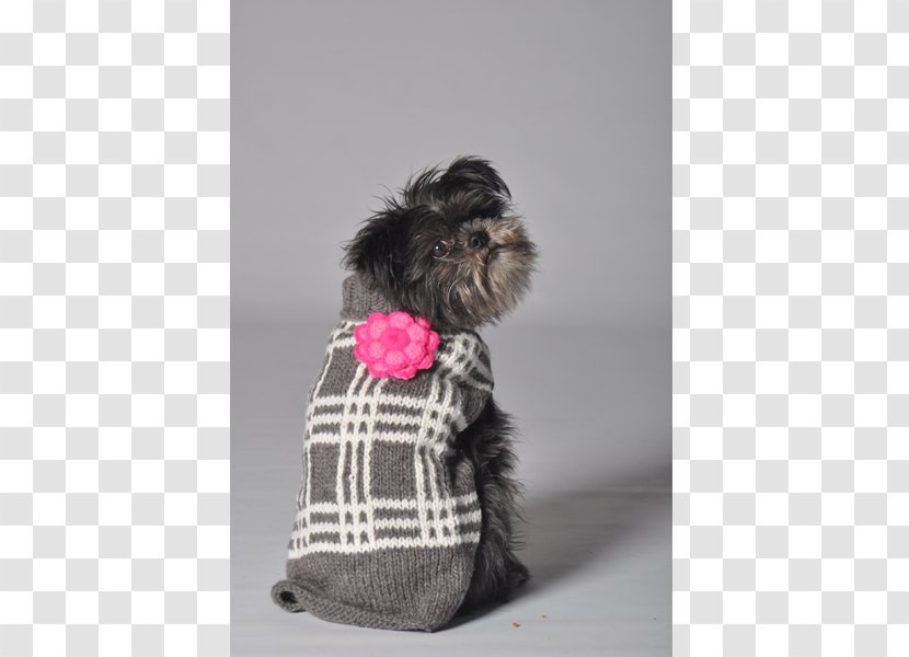 Dog Breed Affenpinscher Schnoodle Puppy Miniature Schnauzer Transparent PNG