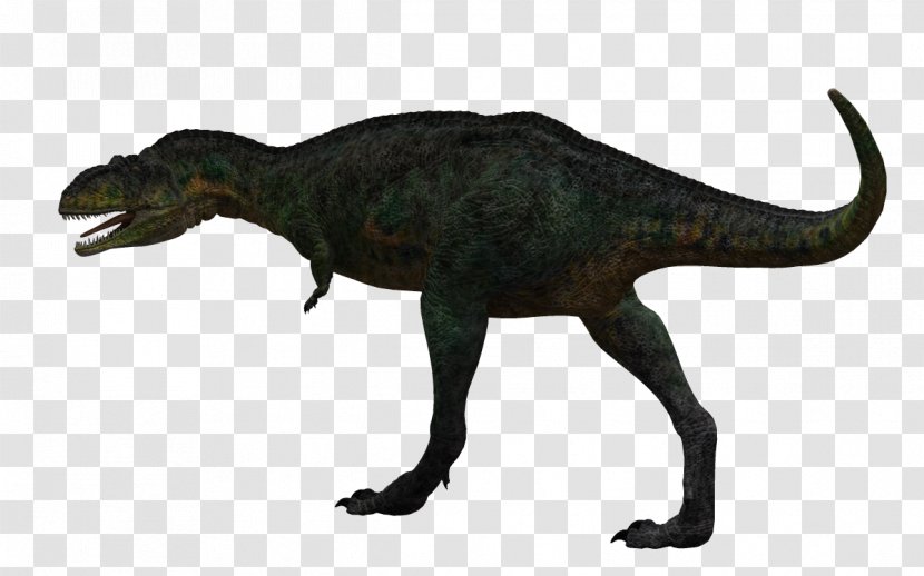 Aucasaurus Tyrannosaurus Dinosaur - Creative Transparent PNG