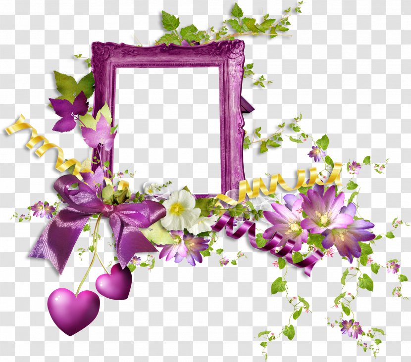 Picture Frames Floral Design Flower Photography Transparent PNG