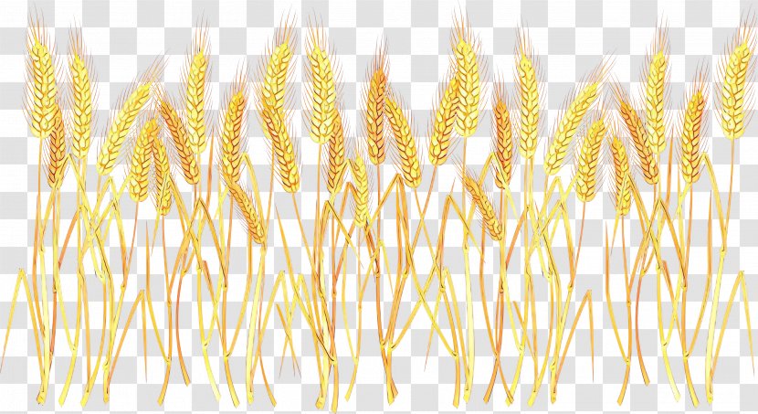 Clip Art Vector Graphics Wheat Openclipart - Yellow - Plant Transparent PNG