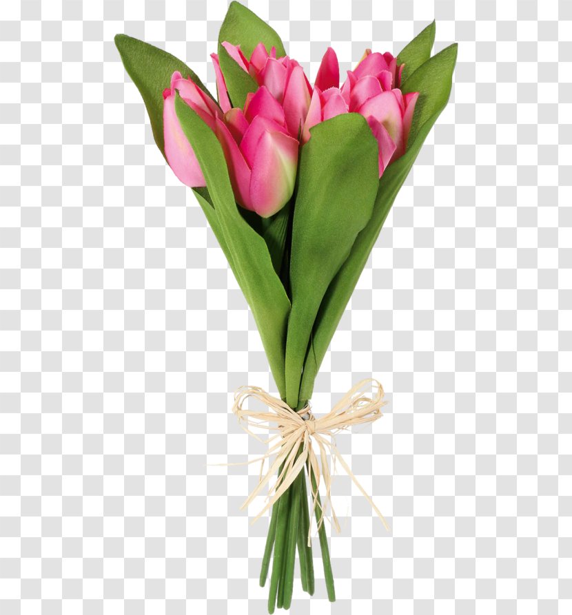 Tulip Flower Bouquet Clip Art - Rose Family Transparent PNG