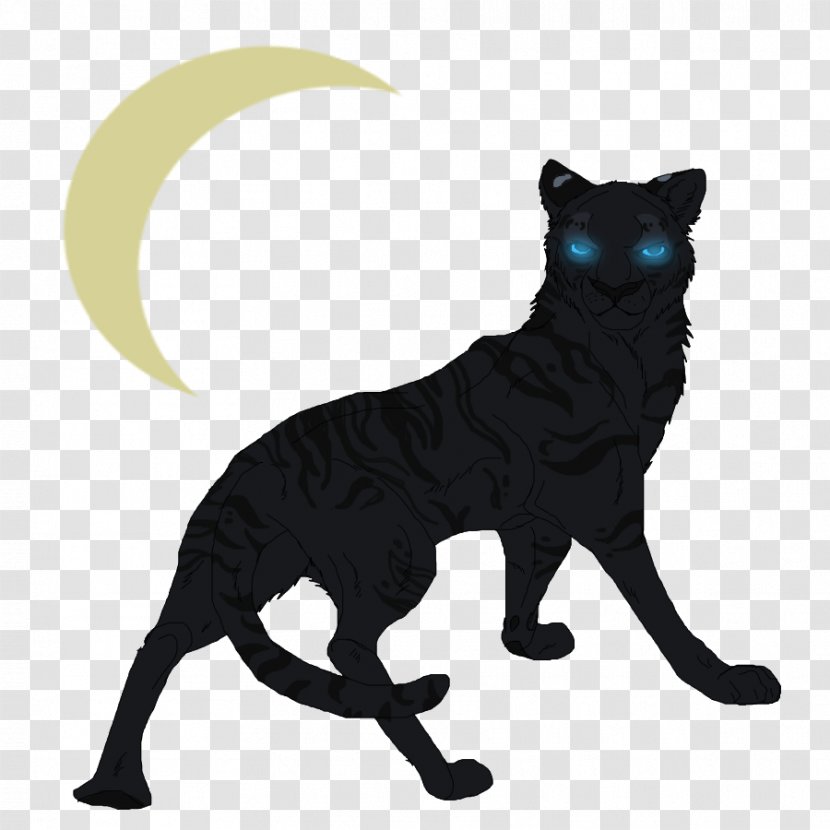 Black Cat Whiskers Tiger - Digital Art Transparent PNG