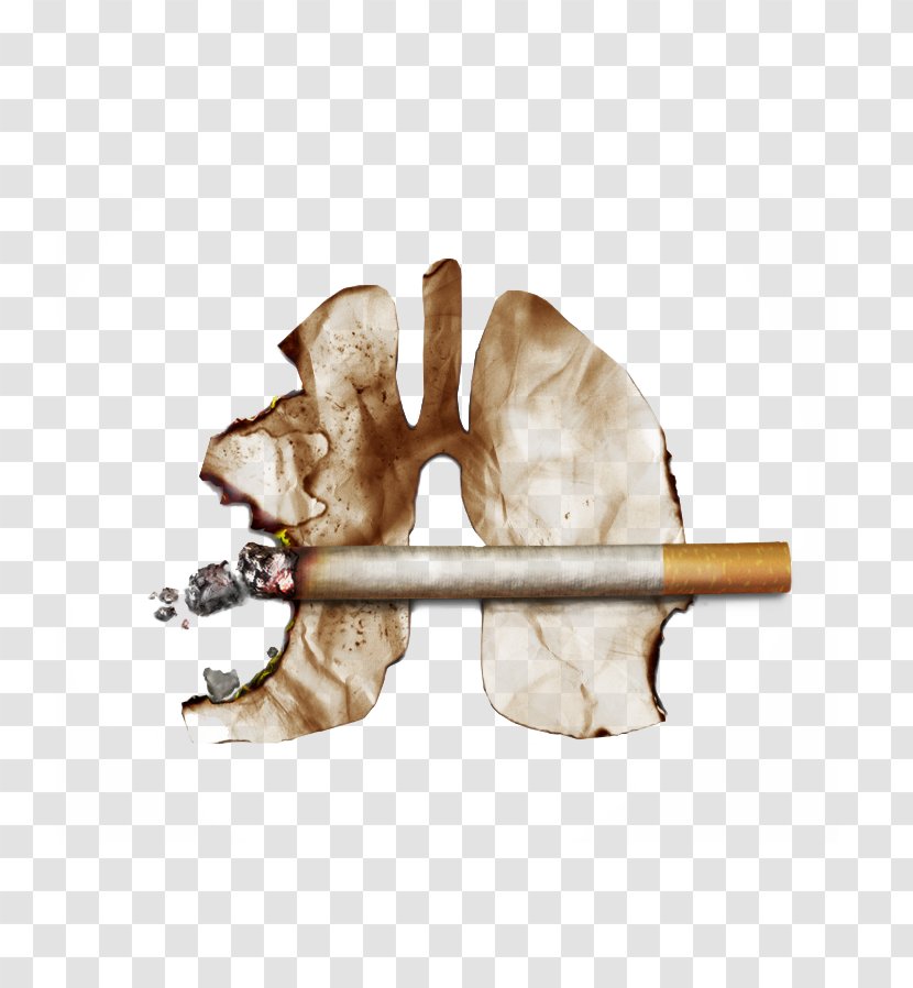 Smoking Ban Fatty Liver Function Tests - Frame - Cherish Life Transparent PNG