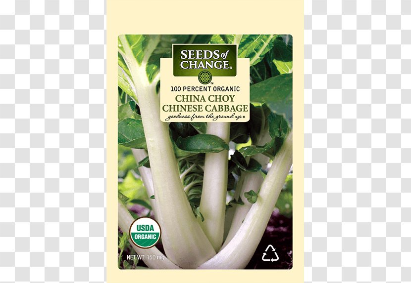 Chard Chinese Cabbage Cuisine Choy Sum Herb - Herbalism - Vegetable Transparent PNG